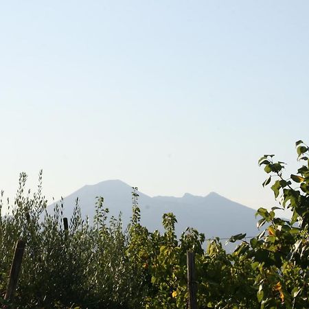 Agriturismo A Do' Cumparone Corbara  Eksteriør billede