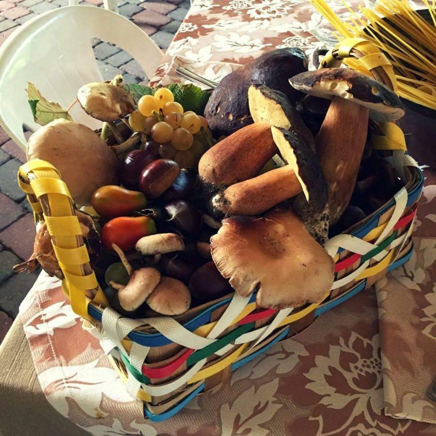 Agriturismo A Do' Cumparone Corbara  Eksteriør billede