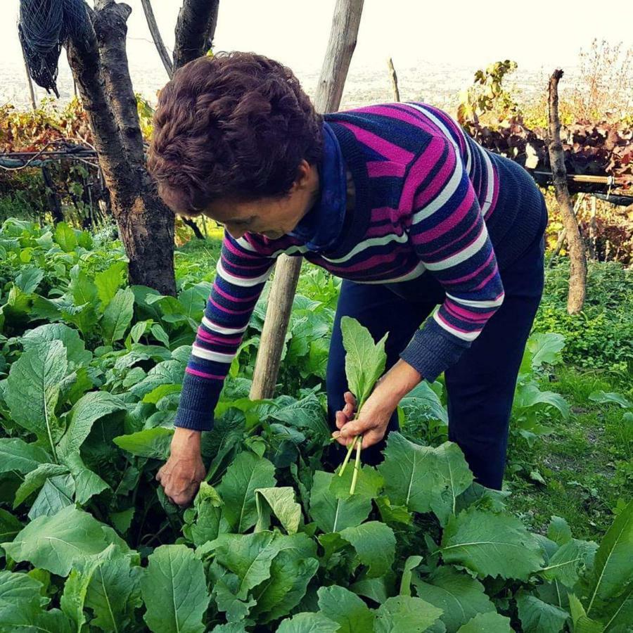 Agriturismo A Do' Cumparone Corbara  Eksteriør billede