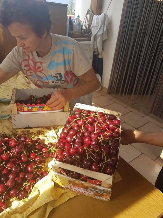Agriturismo A Do' Cumparone Corbara  Eksteriør billede
