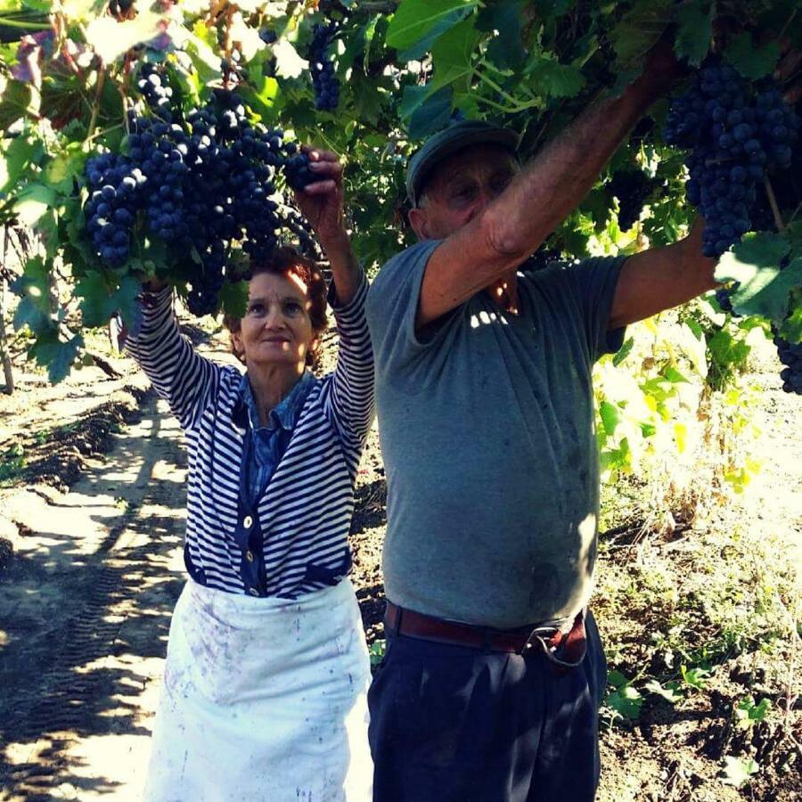 Agriturismo A Do' Cumparone Corbara  Eksteriør billede