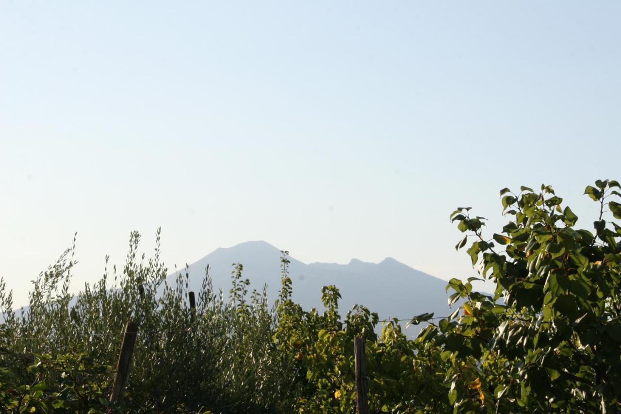 Agriturismo A Do' Cumparone Corbara  Eksteriør billede